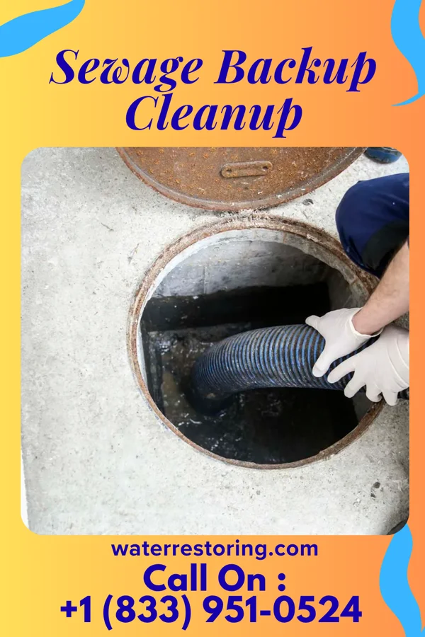 Sewage Backup Cleanup in Blue Summit, MO