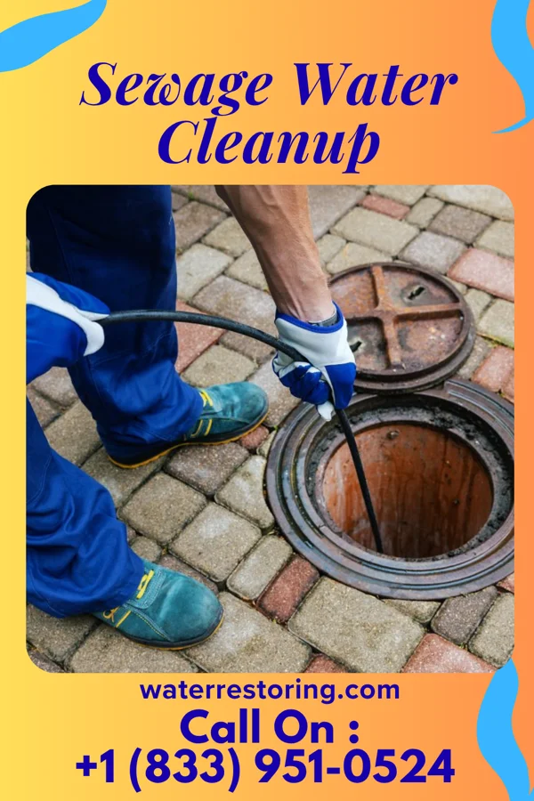 Sewage Water Cleanup in Blue Summit, MO