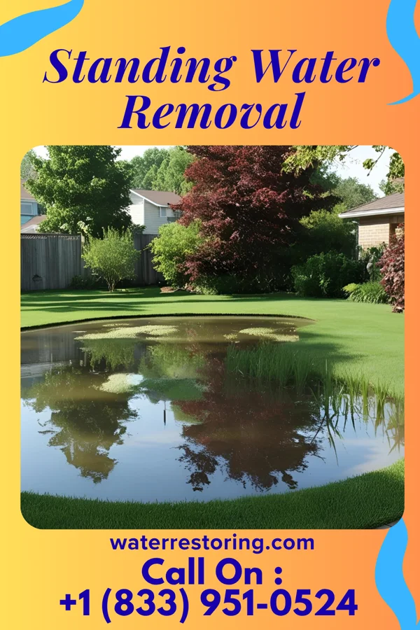 Standing Water Removal in Blue Summit, MO